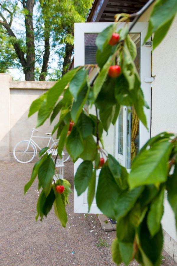 Ekonom-Domik Hotel Odessa Esterno foto